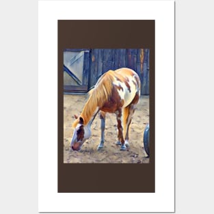 American Paint Horse Posters and Art